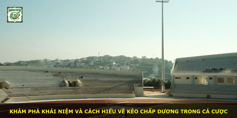 Khám phá khái niệm và cách hiểu về kèo chấp dương trong cá cược