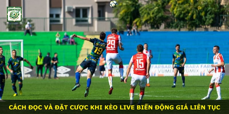Cách đọc và đặt cược khi kèo live biến động giá liên tục
