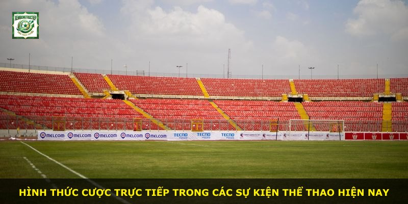 Hình thức cược trực tiếp trong các sự kiện thể thao hiện nay